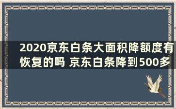 2020京东白条大面积降额度有恢复的吗 京东白条降到500多没救了